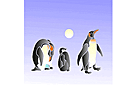 Sjablonen met dieren - Pinguïn familie