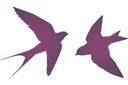Stencils met silhouetten en contouren - Twee zwaluwen