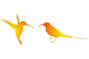 Sjablonen met dieren - Twee kolibries