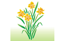 Stencils met tuin- en veldbloemen - 4 narcissen