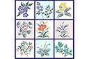 Stencils met tuin- en veldbloemen - Set bloemen 51