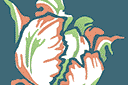 Stencils met tuin- en veldbloemen - Witte tulp 3