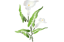 Stencils met tuin- en veldbloemen - Grote calla lelies A