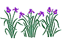 Sjablonen met tuindingen - Irissen 2