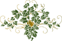 Sjablonen met bladeren en takken - Hopplant patroon