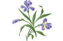 Stencils met tuin- en veldbloemen - Irisstruik