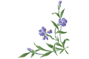 Stencils met tuin- en veldbloemen - Iris hoek