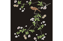 Sjablonen met dieren - Vogel op sakura
