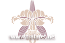 Stencils met tuin- en veldbloemen - Grasse-orchidee