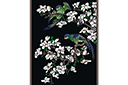 Stencils met tuin- en veldbloemen - Papegaaien op magnolia