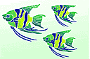 Sjablonen met zeeleven - Engel vis 1