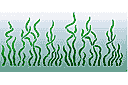 Randen met zeemotieven - Algen 1