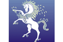 Sjablonen met zeeleven - Wit paard