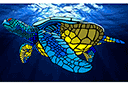 Sjablonen met dieren - Grote zeeschildpad