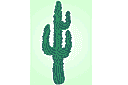 Latijns-Amerikaanse sjablonen - Cactus