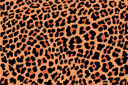 Muursjablonen met herhalende patronen - Luipaardvlekken