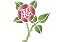 Stencils met tuin- en wilde rozen - Ronde roos 4