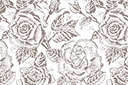 Stencils met tuin- en wilde rozen - Grote rozen 79c