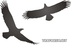 Twee adelaars (Stencils met silhouetten en contouren)