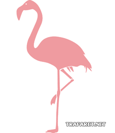 Flamingo - sjabloon voor decoratie