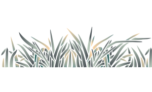 Gras (Stencils met jungle planten en dieren)