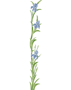 Grote iris - sjabloon voor decoratie