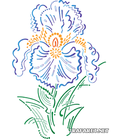 Enorme iris - sjabloon voor decoratie