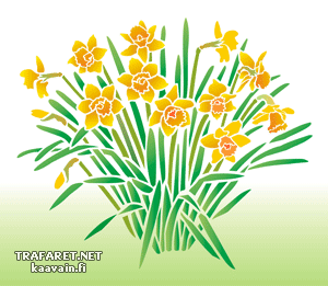 13 narcissen - sjabloon voor decoratie