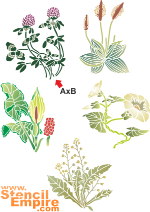 Wilde bloemen 2 - sjabloon voor decoratie