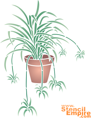 Spinnenplant - sjabloon voor decoratie