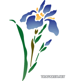 Oosterse iris - sjabloon voor decoratie