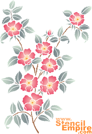 Rozenbottels kweken (Stencils met tuin- en wilde rozen)