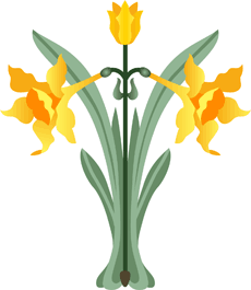 Engelse narcissen 2 - sjabloon voor decoratie