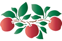 Appel motief - stencils met fruit en bessen