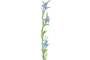 Grote iris - stencils met tuin- en veldbloemen