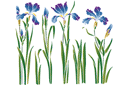 Bloembed van irissen - stencils met tuin- en veldbloemen