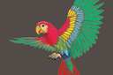 Vliegende papegaai - sjablonen met tropische dieren en planten