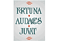 Zin in het Latijn 8 - stencils met teksten en sets letters