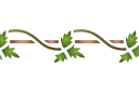 Eenvoudige klimop - rand sjablonen met planten